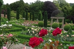 Hopton-Hall-Rose-Gardens-July-2019