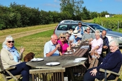 Walton-Brook-vineyard-September-2019